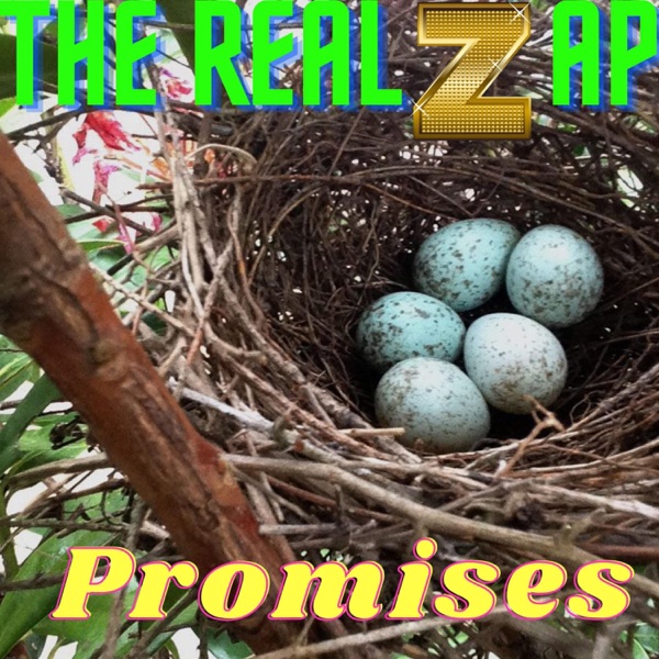 Promises cover